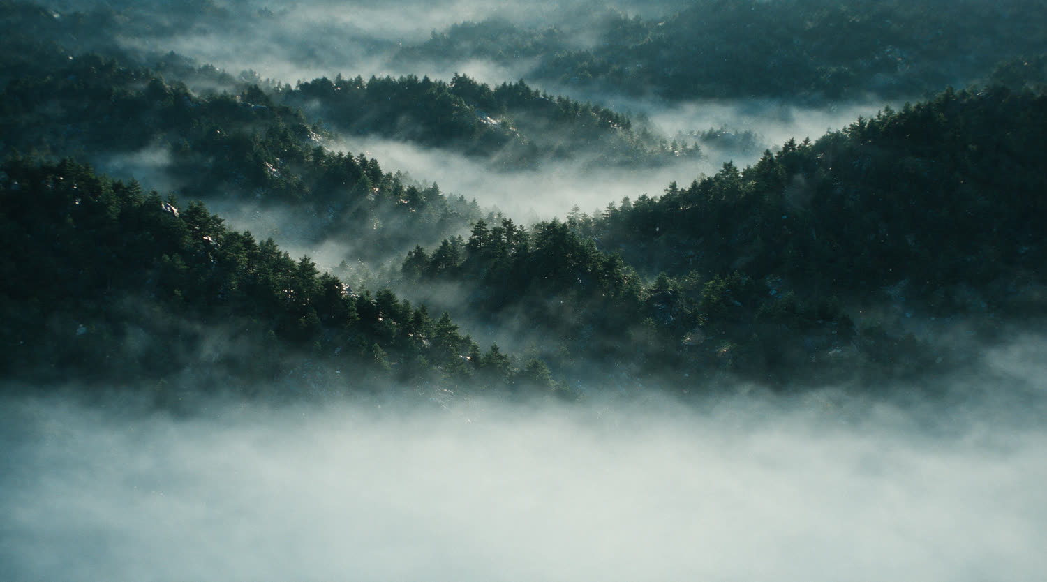 Misted pine ridgelines in Sunchang, Jeonbuk-do